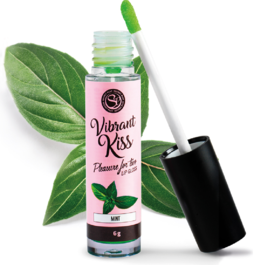 SECRETPLAY - LIP GLOSS VIBRANT KISS BROWNIE - Mi tienda